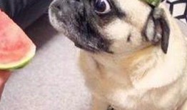 娱乐是个圈吃瓜群众散了,吃瓜群众散场，幕后真相揭晓